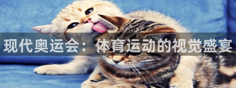 JJB竞技宝官网下载平台注册要钱吗安全吗：现代奥运会