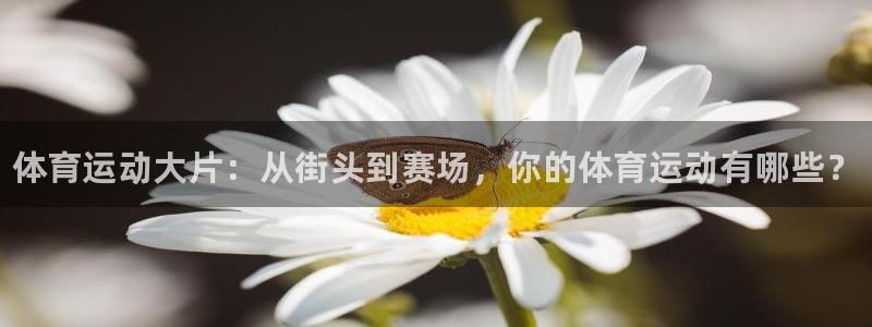 JJB竞技宝官方正版app集团：体育运动大片：从街头