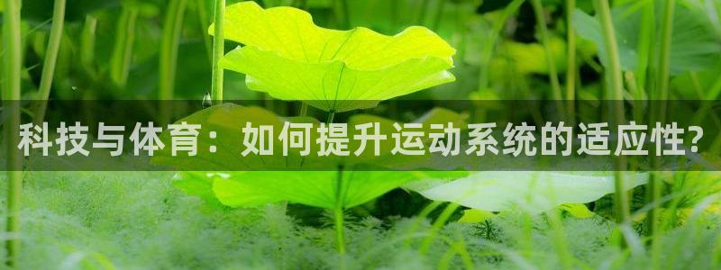 JJB竞技宝官方正版app娱乐平台：科技与体育：如何