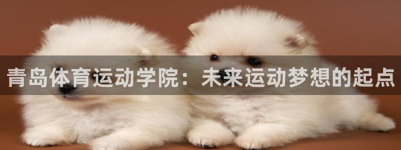 JJB竞技宝官方正版app集团logo：青岛体育运动