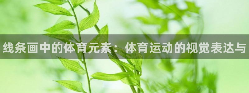 JJB竞技宝官网下载招商电话：线条画中的体育元素：体