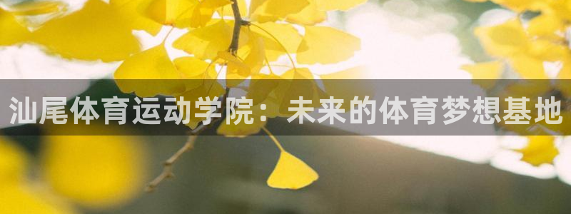 JJB竞技宝官方正版app娱乐是那个系列的台子：汕尾