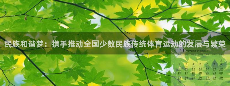 JJB竞技宝官方正版app科技：民族和谐梦：携手推动