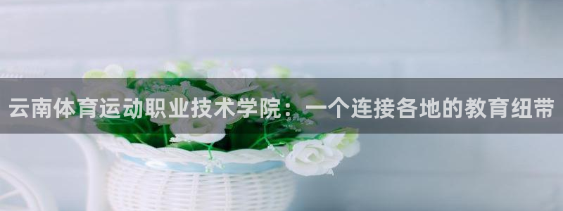 JJB竞技宝官方正版app代理：云南体育运动职业技术