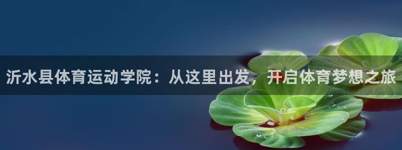 JJB竞技宝官网下载是干嘛的公司：沂水县体育运动学院
