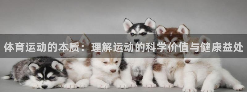 JJB竞技宝官网下载平台注册流程视频：体育运动的本质