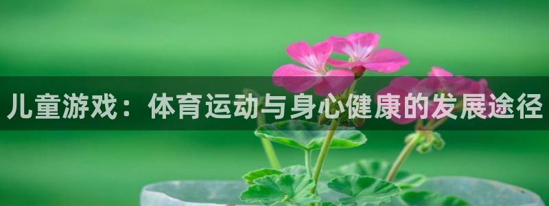 JJB竞技宝官网下载招商电话号码查询是多少：儿童游戏