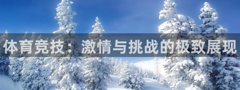 JJB竞技宝官方正版app代理：体育竞技：激情与挑战
