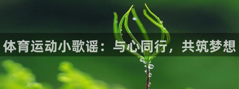 JJB竞技宝官方正版app集团logo：体育运动小歌