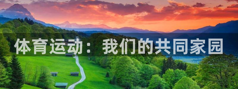 JJB竞技宝官方正版app神州：体育运动：我们的共同