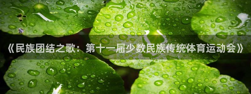 JJB竞技宝官方正版app官方：《民族团结之歌：第十
