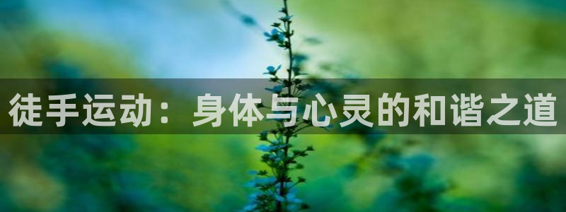 JJB竞技宝官方正版app集团官网首页：徒手运动：身体与心灵